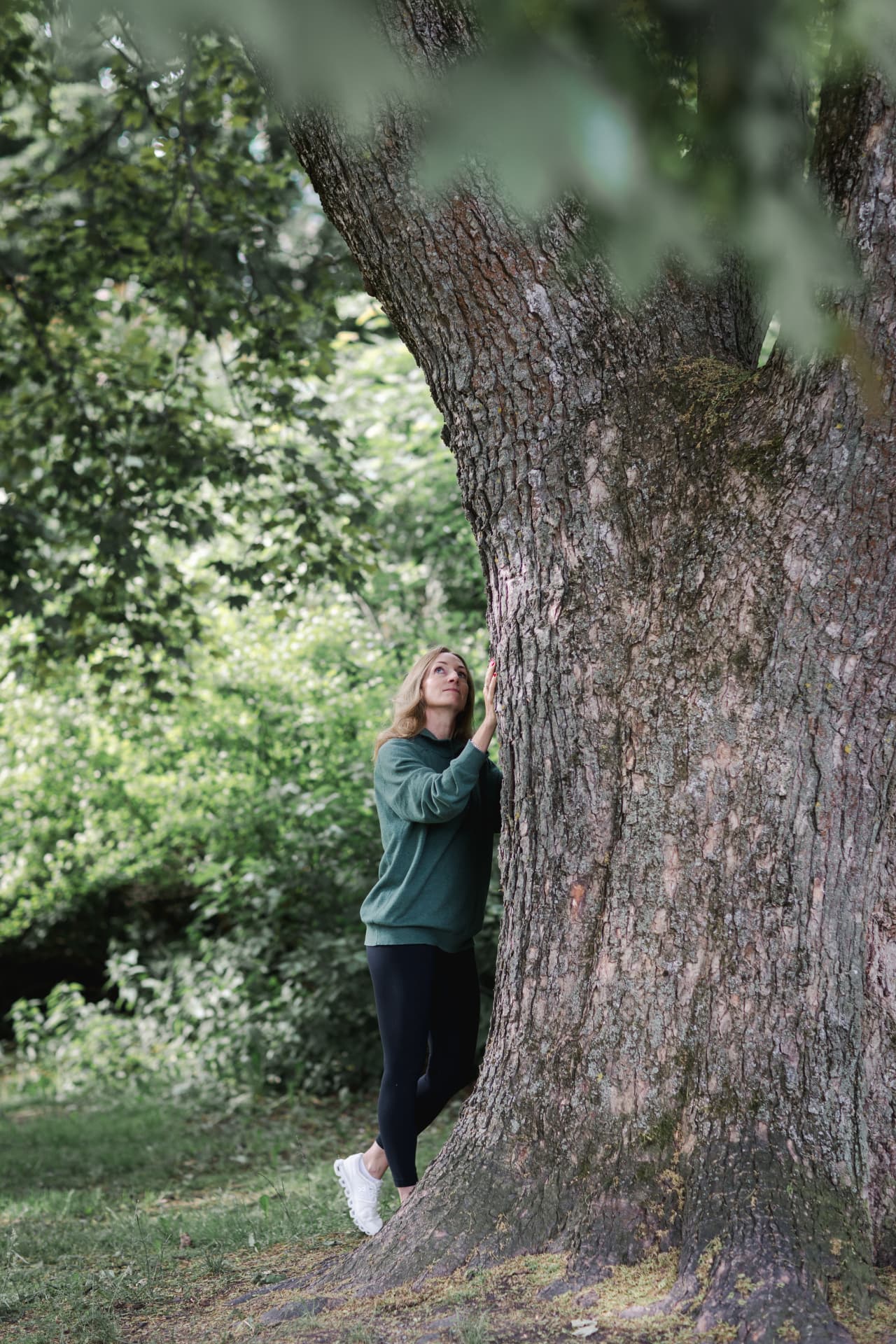 Pia looking up at a large old tree in the forest
